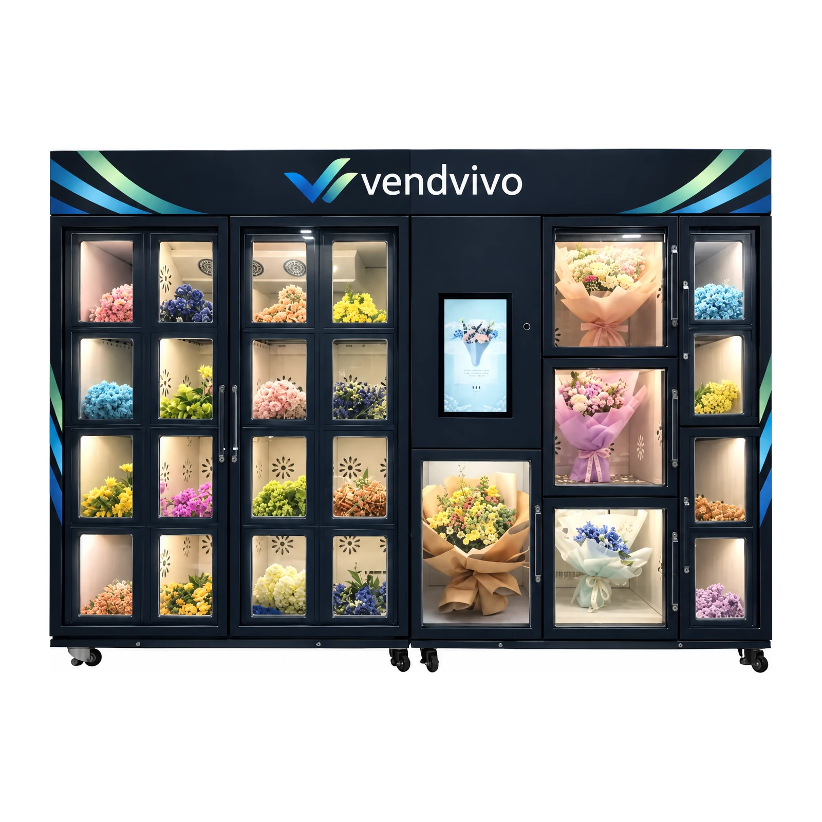 VIVO-XH-02